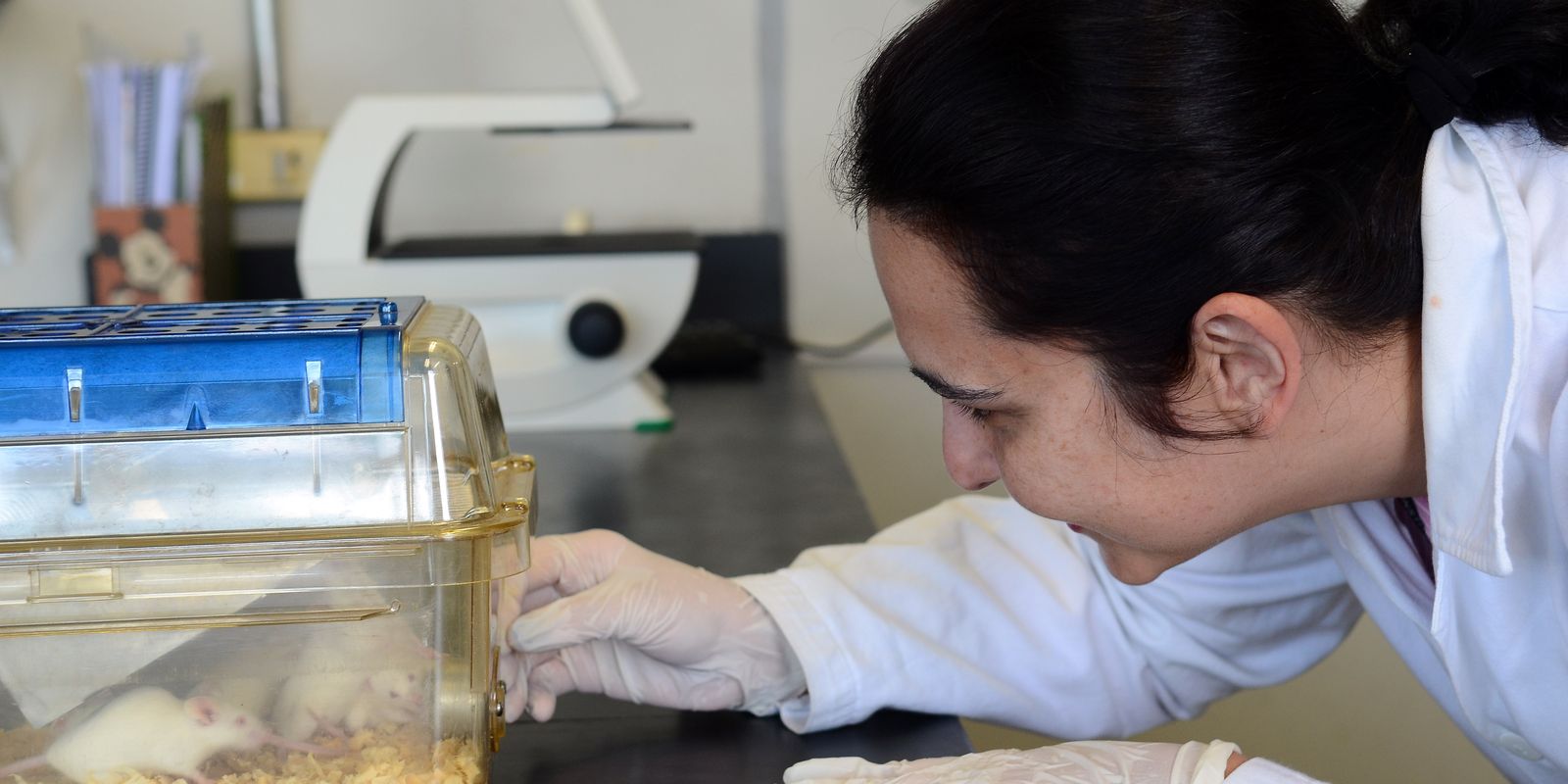 Tecidos feitos em laboratório podem aperfeiçoar testes de medicamentos