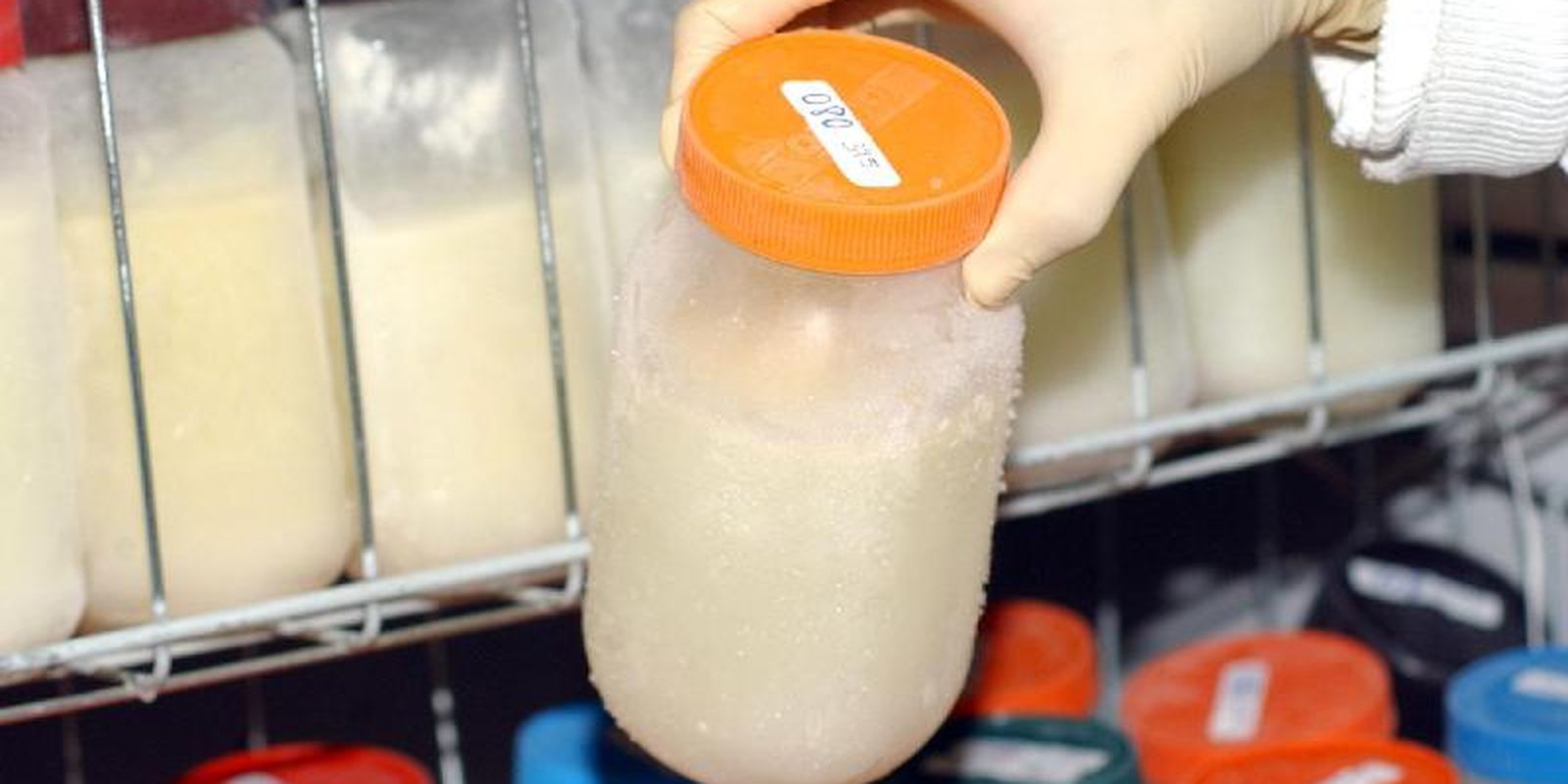 Hospital da Mulher da Baixada Fluminense necessita de leite materno Hospital da Mulher da Baixada Fluminense necessita de leite materno