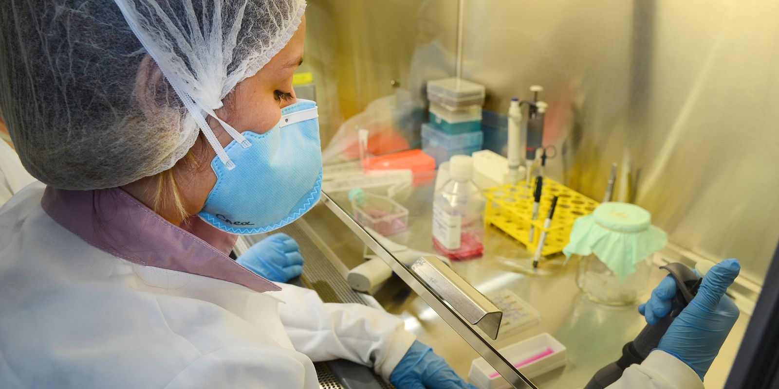 USP: pesquisa de vacina contra zika avança em testes com USP: pesquisa de vacina contra zika avança em testes com camundongos