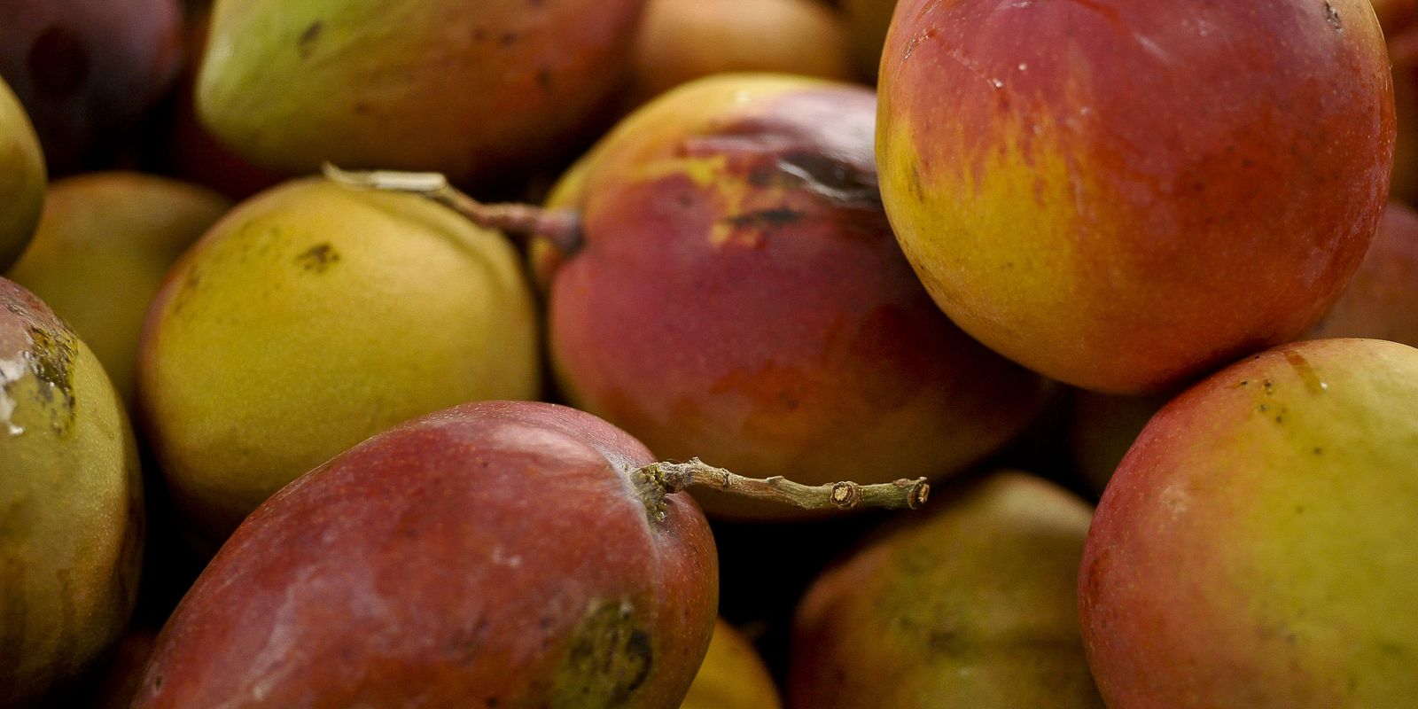 Abrafrutas apoia plano e pede atenção a pequenos produtores Abrafrutas apoia plano e pede atenção a pequenos produtores