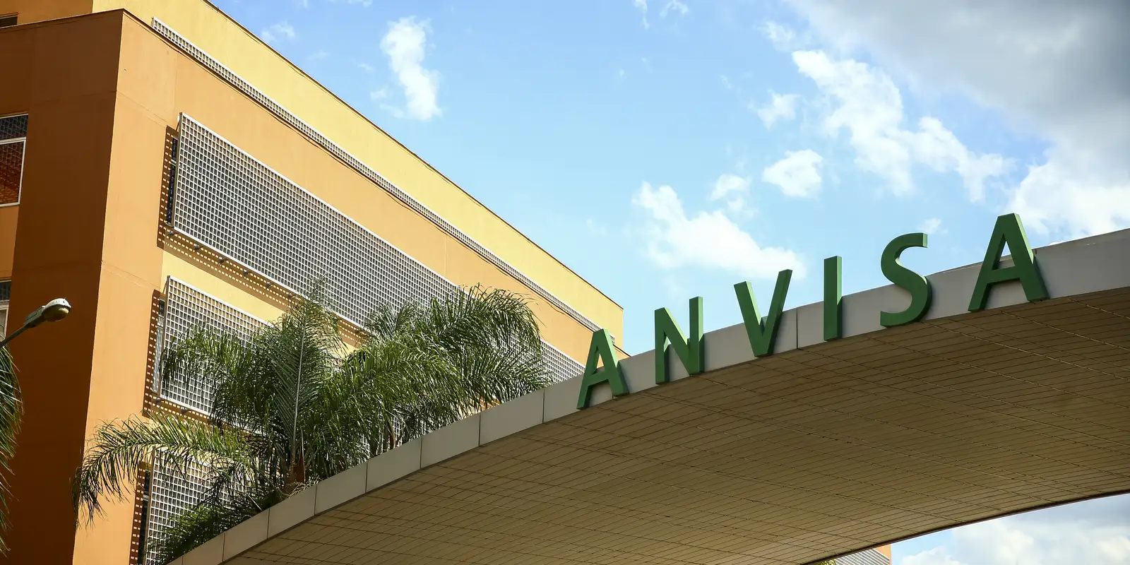 Anvisa aprova medicamento oral para tratar tumores cerebrais