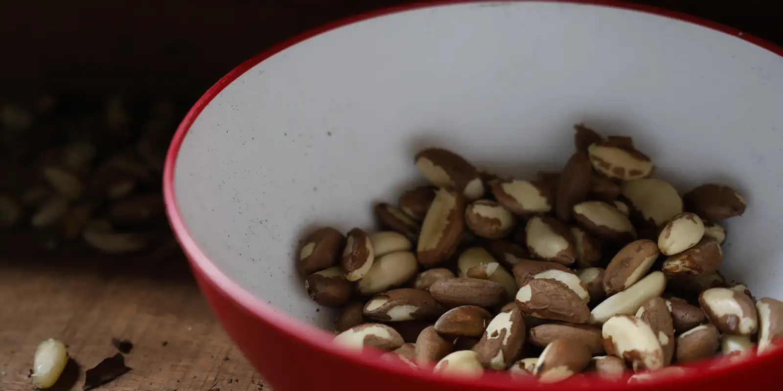 Agricultura familiar do Nordeste vai à maior feira mundial alimentos