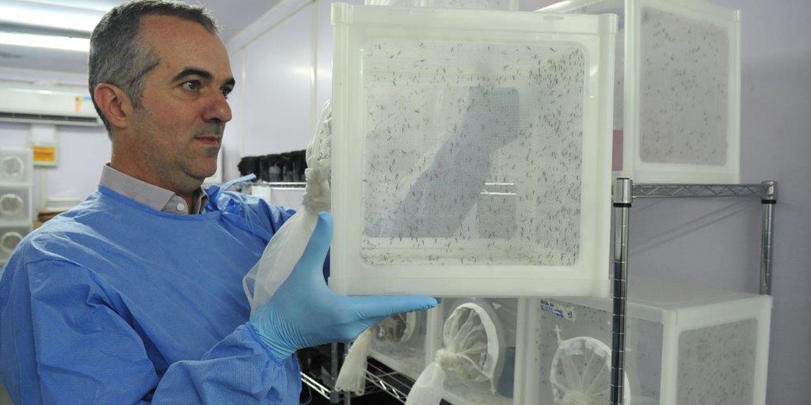 Brasileiro criador do 