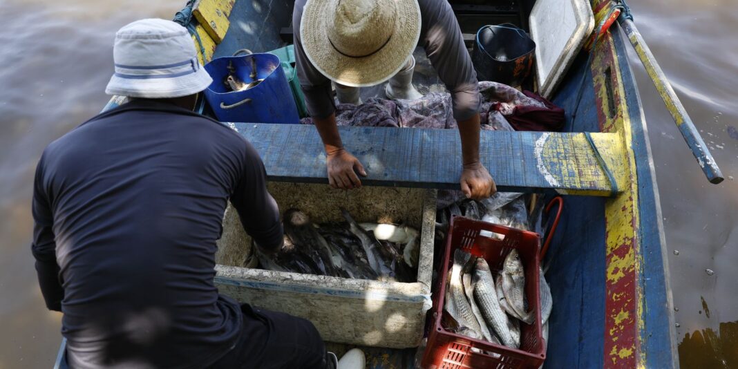 Pescadores beneficiados pelo Seguro-Defeso recebem 6º lote nesta terça