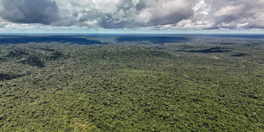 Fazenda autoriza crédito de US$ 1 bilhão do BID para Eco Invest Brasil